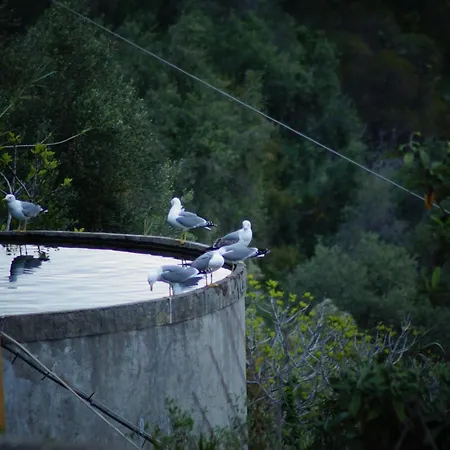 Total Sea View Ll Grimaldi Menton *
