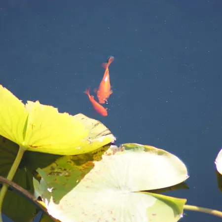 Апартаменты Total Sea View Ll Grimaldi Menton