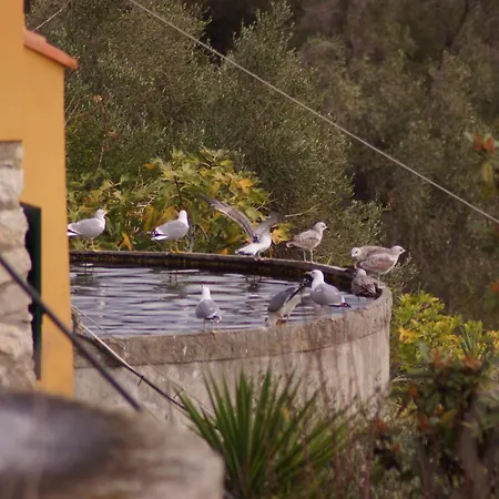 Total Sea View Ll Grimaldi Menton *