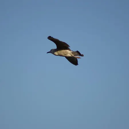 Total Sea View Ll Grimaldi Menton Ventimiglia