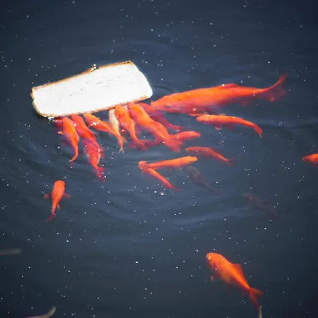 Total Sea View Ll Grimaldi Menton