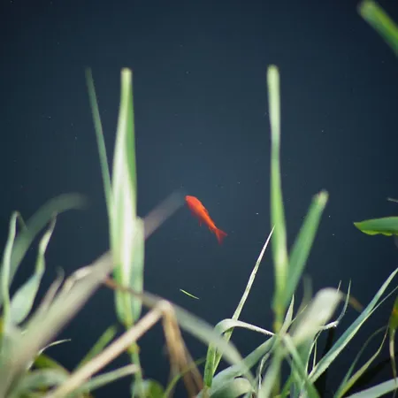 Апартаменты Total Sea View Ll Grimaldi Menton Вентимилья