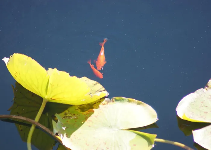 アパート Total Sea View Ll Grimaldi Menton