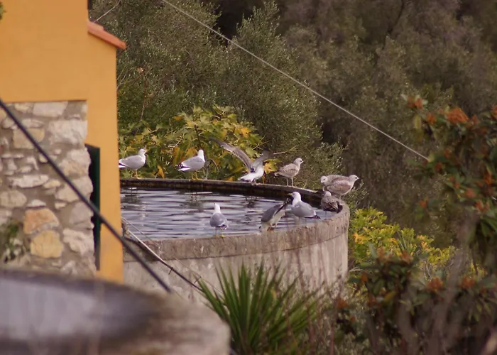 Total Sea View Ll Grimaldi Menton *