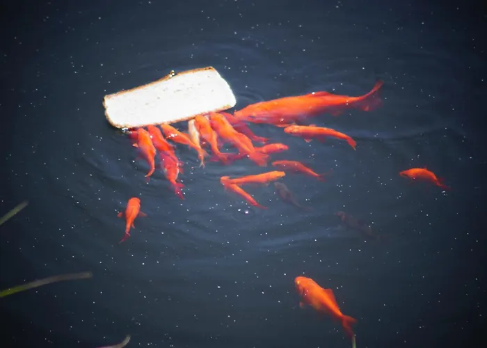 Total Sea View Ll Grimaldi Menton