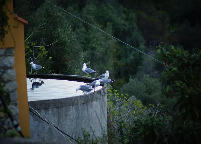 Total Sea View Ll Grimaldi Menton *