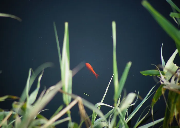 アパート Total Sea View Ll Grimaldi Menton ヴェンティミーリア